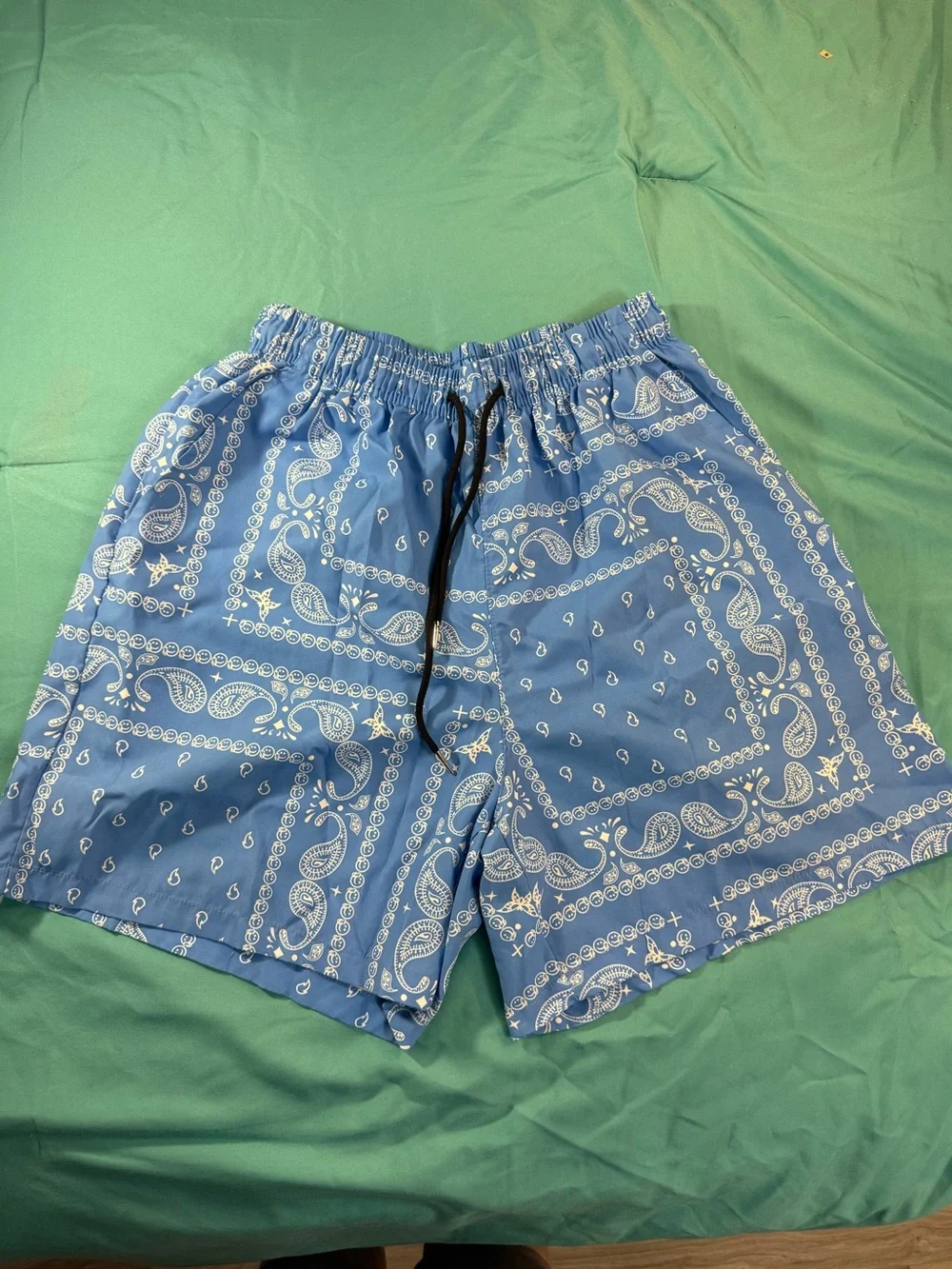 Blue Bandana-Print Boys Swim Board Boho Western Shorts